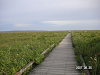 s_PICT0094_thumb.png